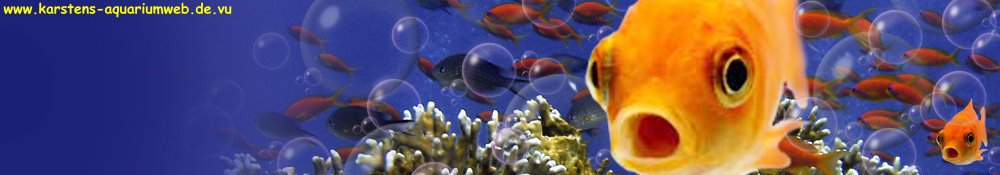 Karstens Aquariumweb - Homepage